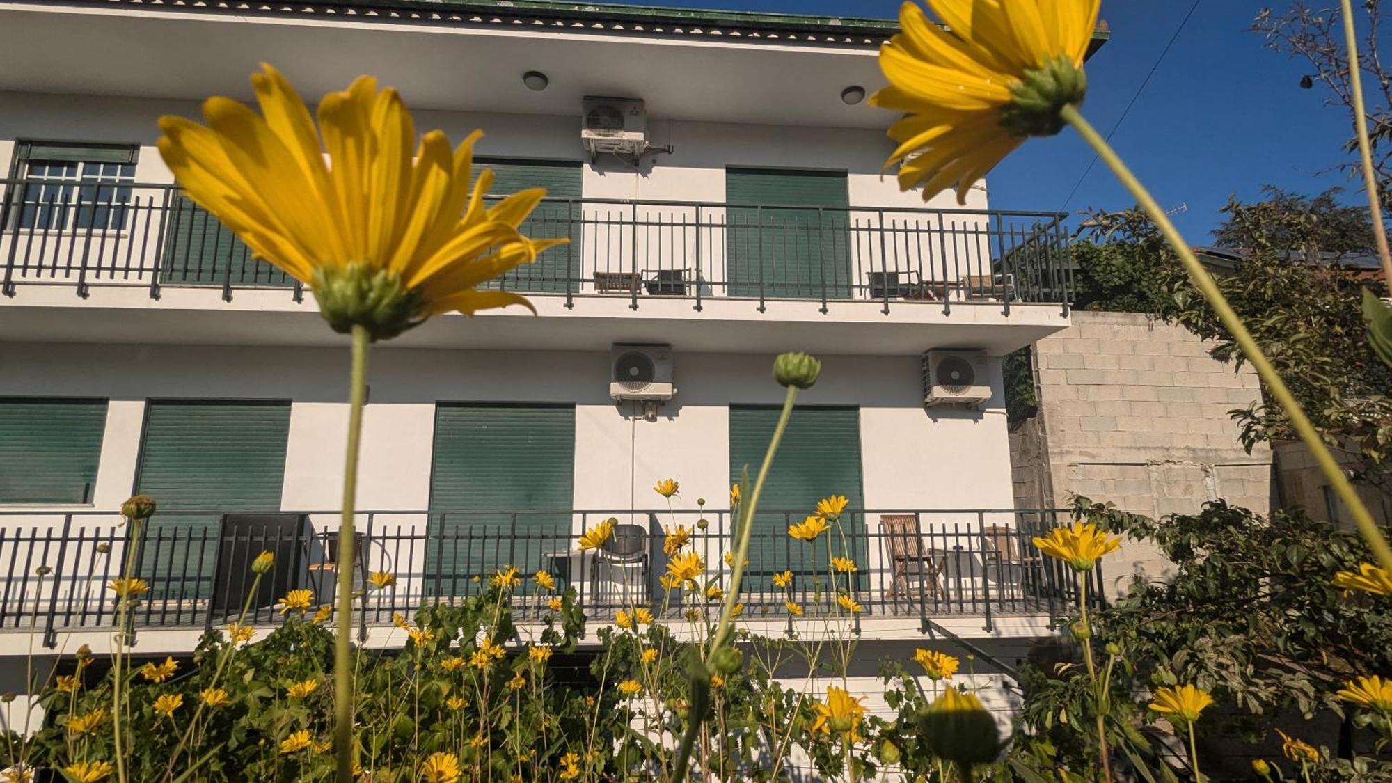 Casa Do Olival Hotel Peso da Regua Luaran gambar